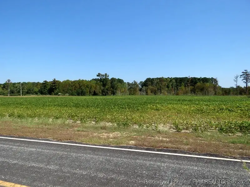 TBD Cowpen Swamp Road, Fairmont, NC 28340 - Image #3