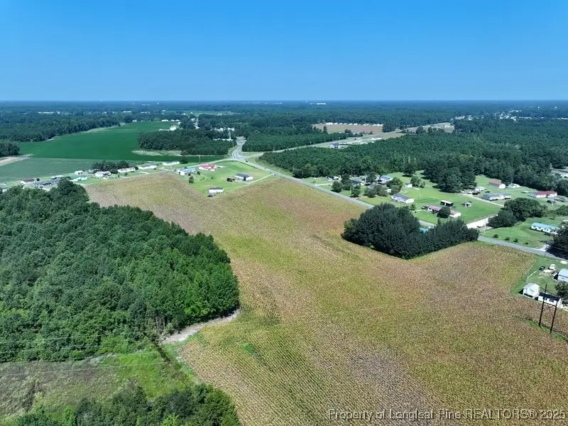 TBD Alamac Road, Lumberton, NC 28358 - #2