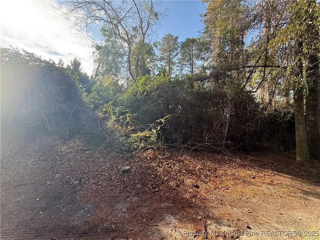Blake Drive And Off Highway 401 Drive, Raeford, NC 28376 - Image #1