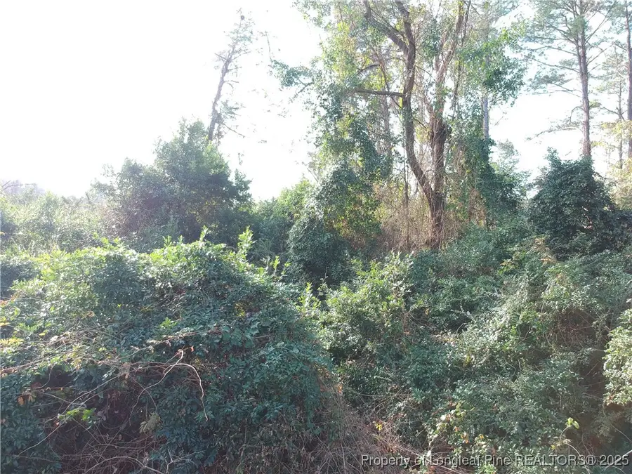 Blake Drive And Off Highway 401 Drive, Raeford, NC 28376 - Image #2