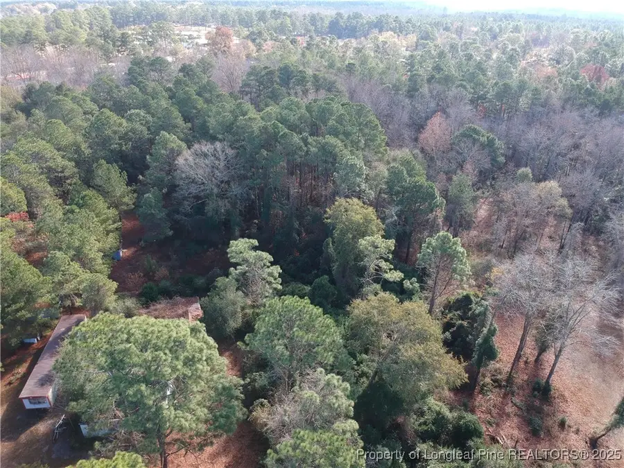 Blake Drive And Off Highway 401 Drive, Raeford, NC 28376 - Image #3