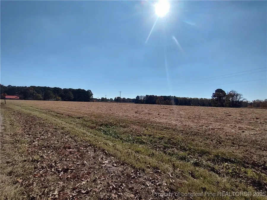 0 Castleberry Road, Sanford, NC 27332 - #3