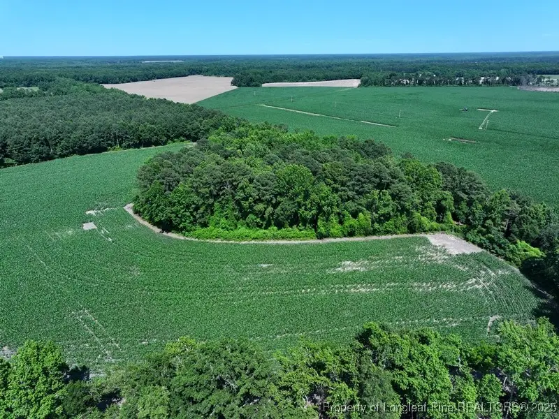 TBD Nc Hwy 71 Highway, Red Springs, NC 28377 - Image #1