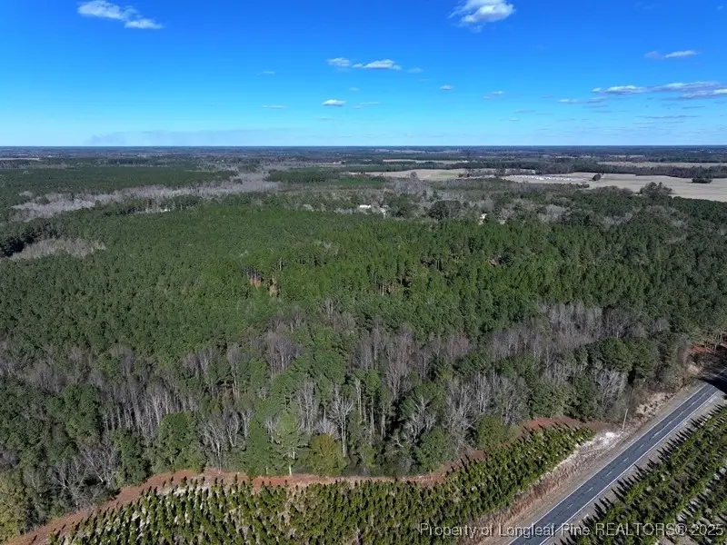 TBD Stuart's Mill Road, Fairmont, NC 28340 - Image #2