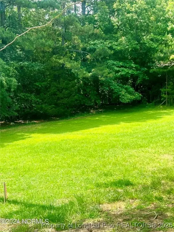 202 Millstone Court, West End, NC 27376 - Image #2