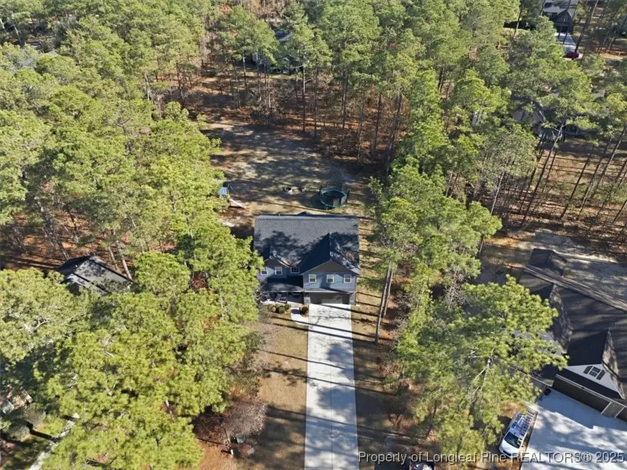 28961 Pinedale Court, Wagram, NC 28396 - Image #3