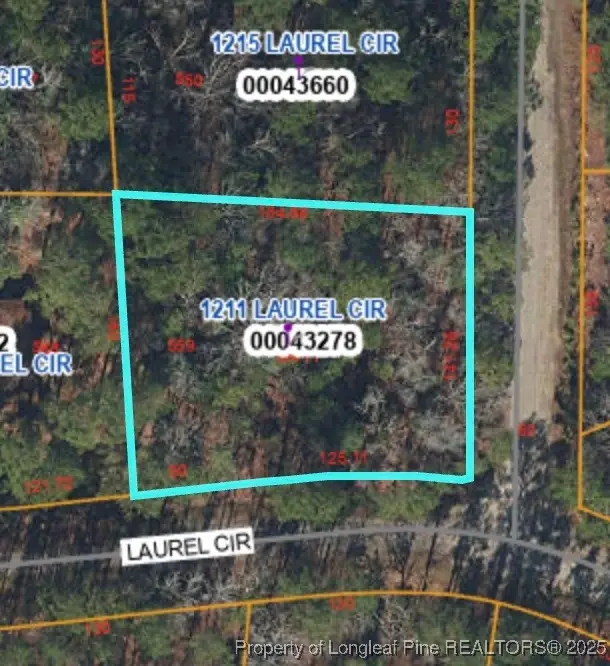 1211 Laurel Circle, Vass, NC 28394 - #3