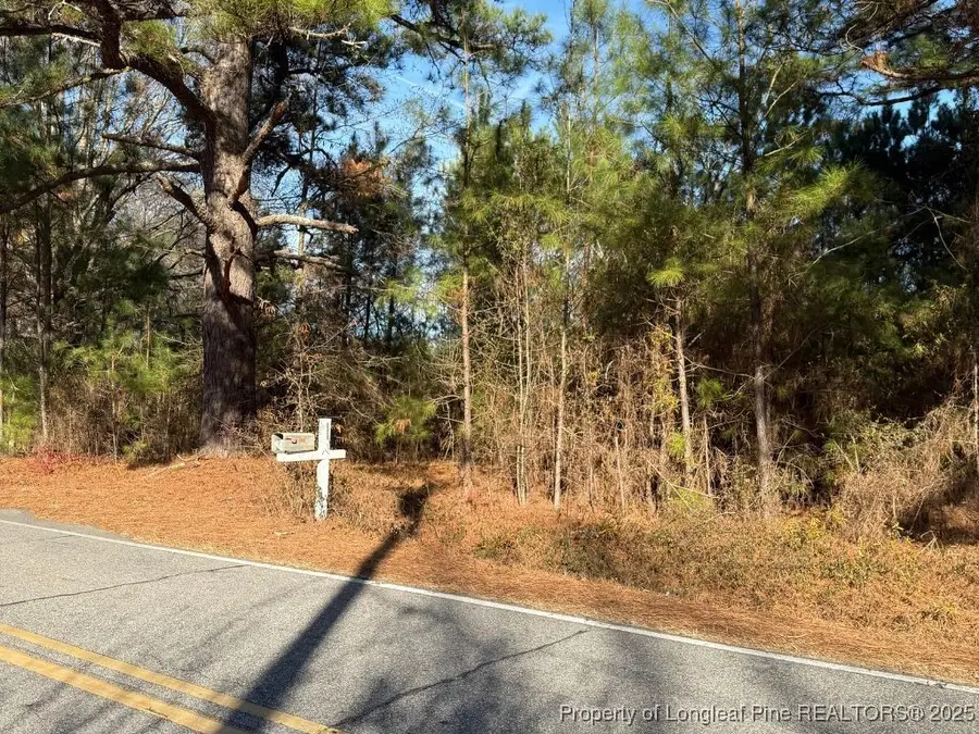 3237 Old Stage Road S, Erwin, NC 28339 - Image #2