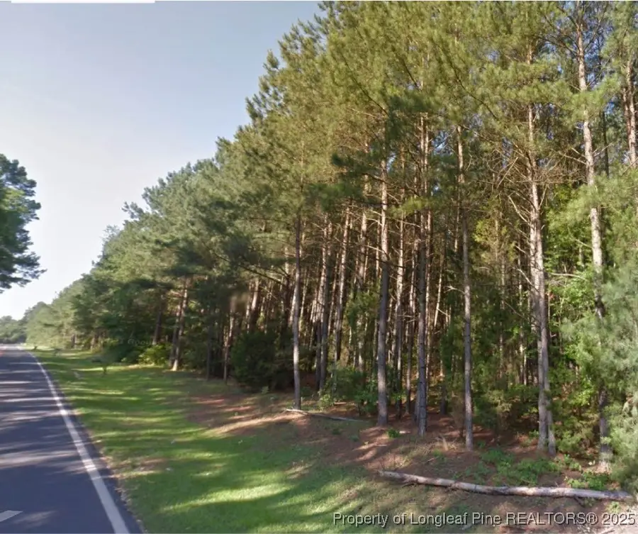 TBD Bostic (lot 2) Road, Laurinburg, NC 28352 - Image #3