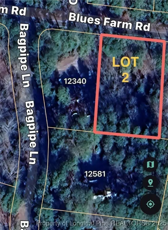 TBD Blues Farm (lot 2) Road, Laurinburg, NC 28352