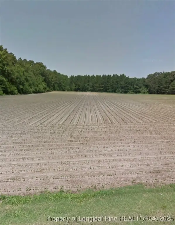 10660 Old Stage Road, Gibson, NC 28343 - Image #3