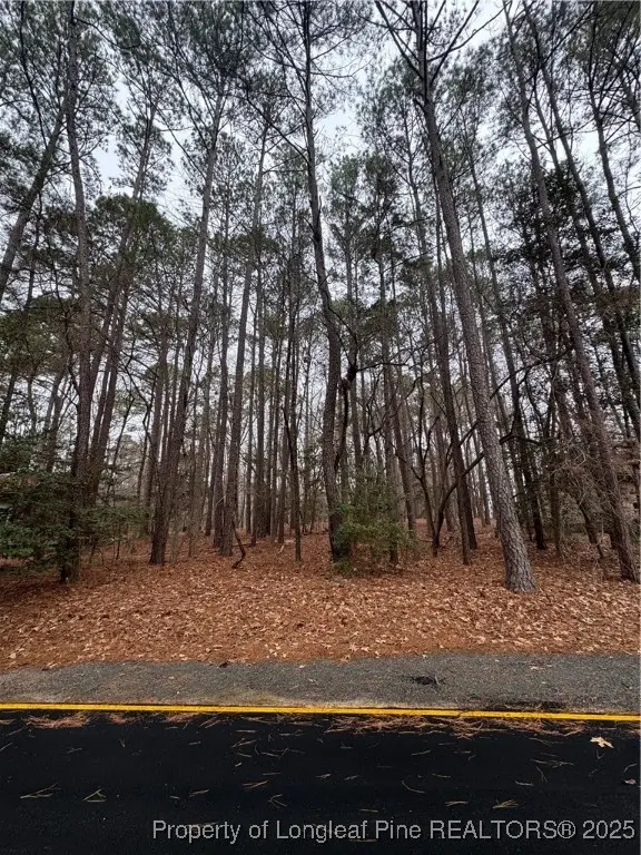 1790 Irish Boulevard, Sanford, NC 27332 - #3