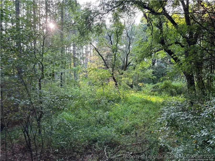 Christian Chapel Church Road, Cape Fear, NC 27562 - Image #2