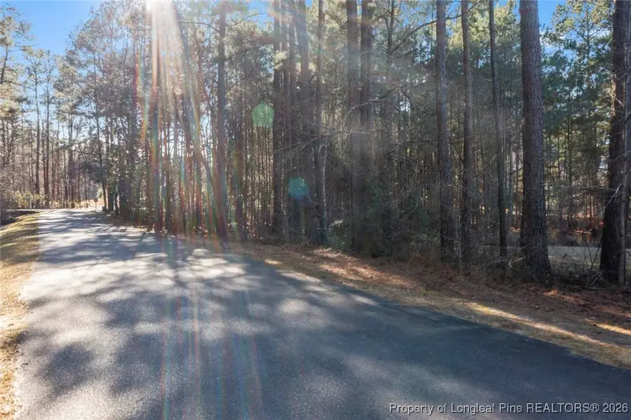 125 Applewood Lane, Vass, NC 28394 - Image #2