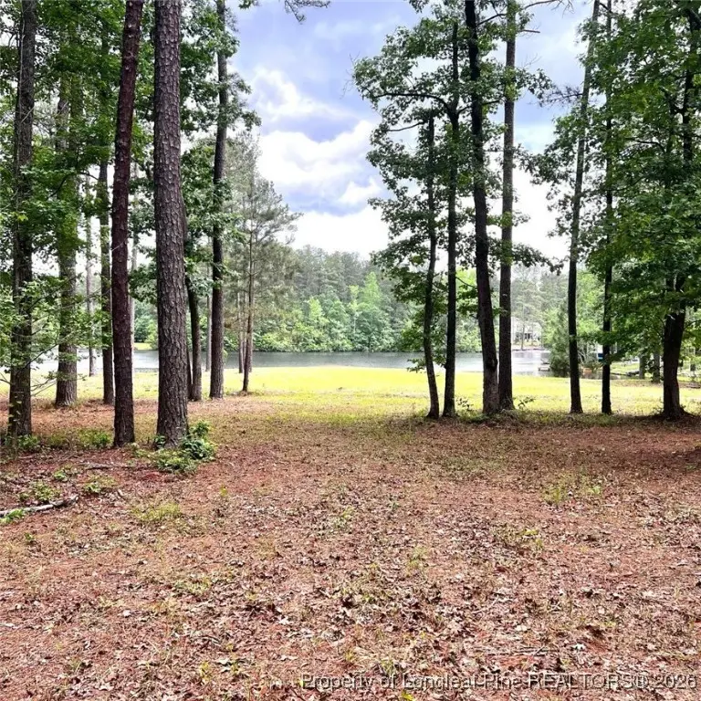 305 Lakewood Drive, Aberdeen, NC 28315 - #3