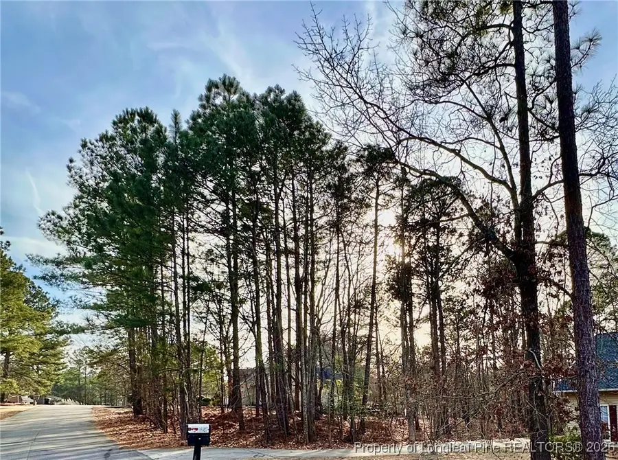 56 Lotus Lane, Sanford, NC 27332 - #3