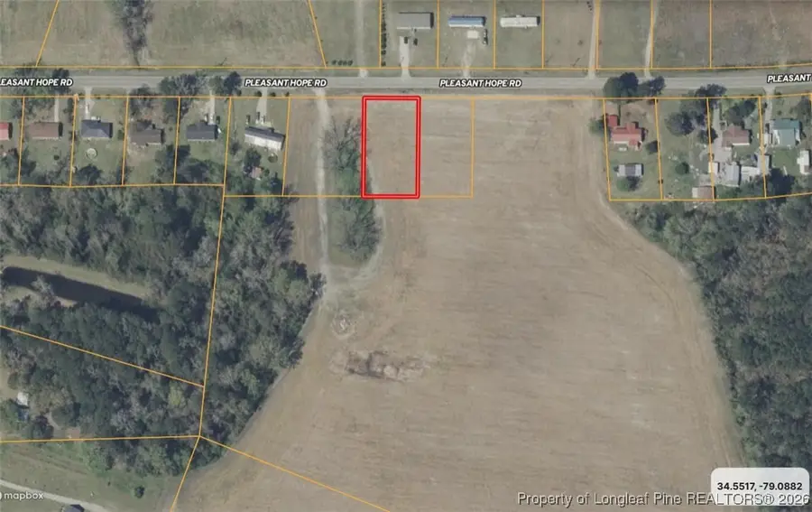 Lot B Pleasant Hope Road, Back Swamp, NC 28340 - #2