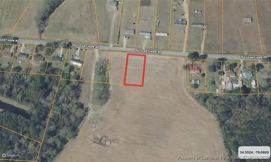 Lot C Pleasant Hope Road, Back Swamp, NC 28340 - Image #2