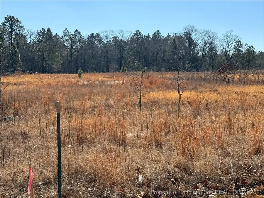 5745 Turnpike Road, Raeford, NC 28376 - #3