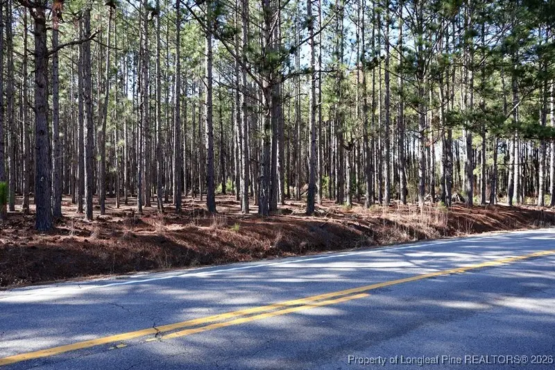 Nc Hwy 130 Highway, Fairmont, NC 28340 - #2