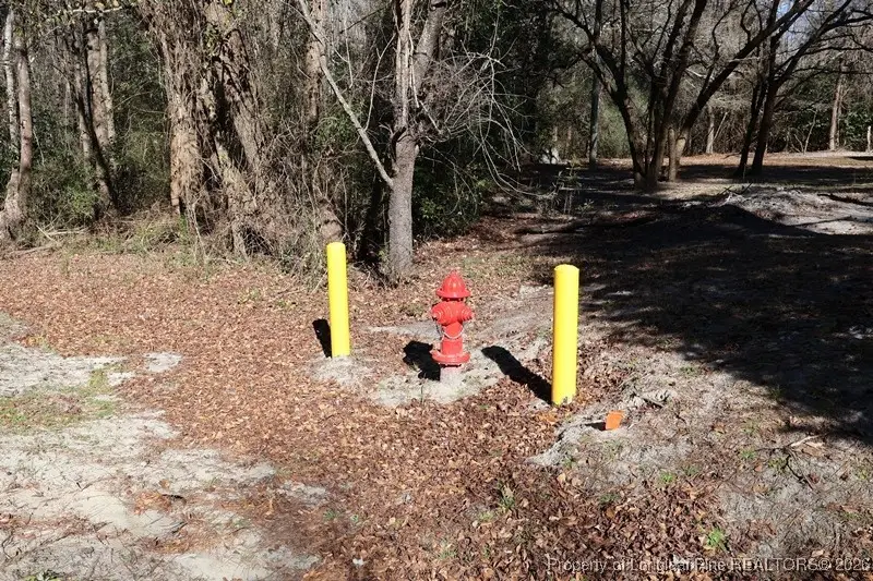 Nc Hwy 130 Highway, Fairmont, NC 28340 - #3