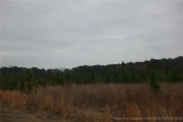 Lot 44 Stuarts Mill Road, Fairmont, NC 28340