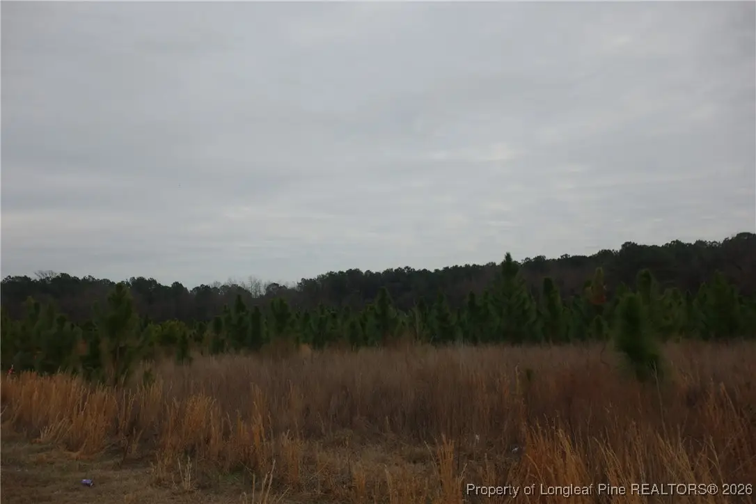 Lot 33 Stuarts Mill Road, Fairmont, NC 28340 - #1