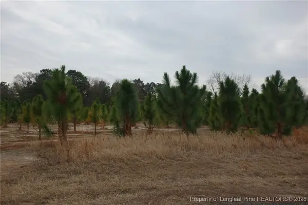 Lot 38 Stuarts Mill Road, Fairmont, NC 28340