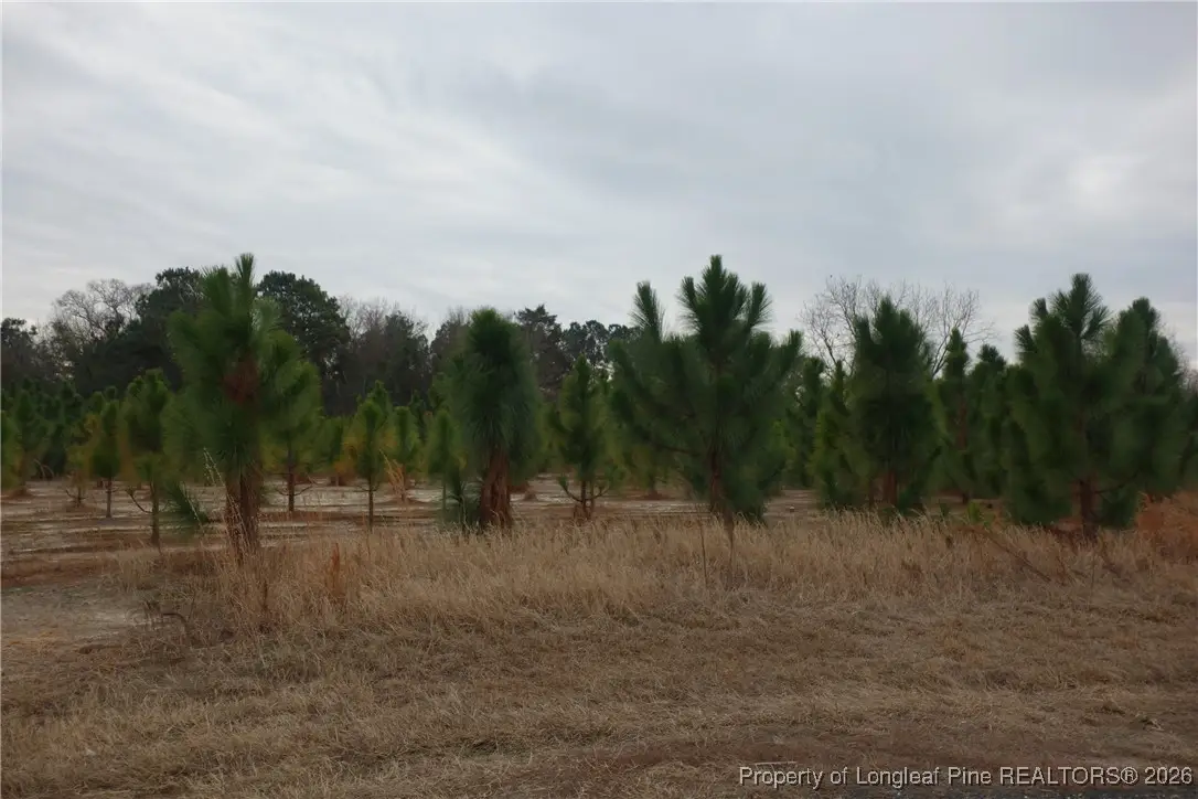 Lot 39 Stuarts Mill Road, Fairmont, NC 28340 - #1