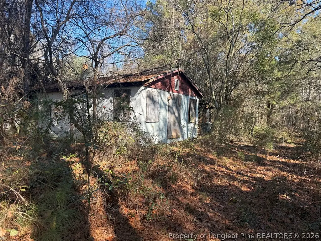 856 Harvey Lillie Avenue, Hope Mills, NC 28348 - #1