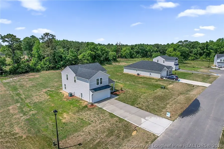 245 Buggy Top Lane, Autryville, NC 28318 - #3