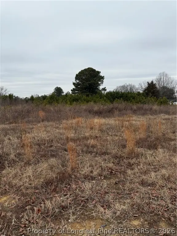 2602 Erwin Road, Dunn, NC 28334 - #3