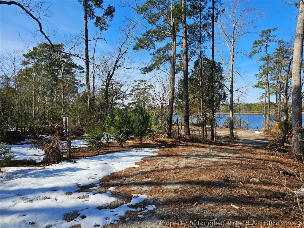 110 Caraway Court, Arapahoe, NC 28510 - #1