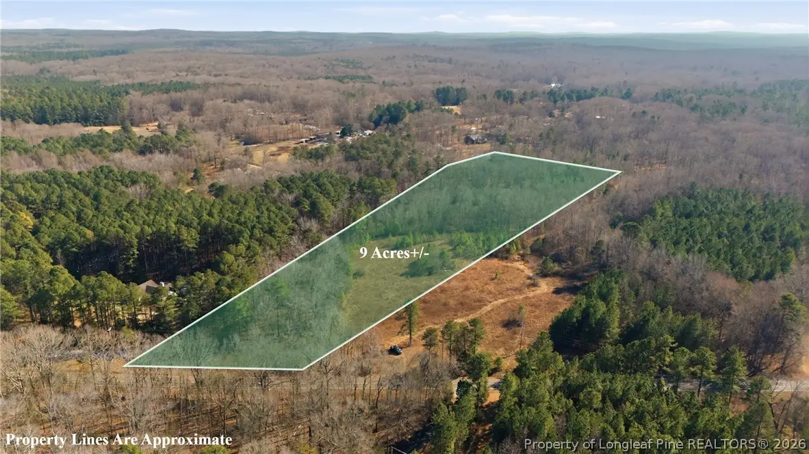 LOT B 1600 Mt. Willing Road, Efland, NC 27243 - #1