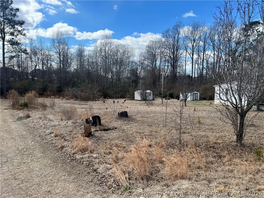1165 Townsend Road, Raeford, NC 28376 - #3