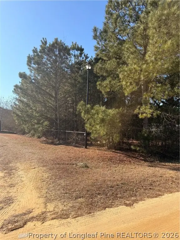 Brownestone Lane, Dunn, NC 28334 - #3