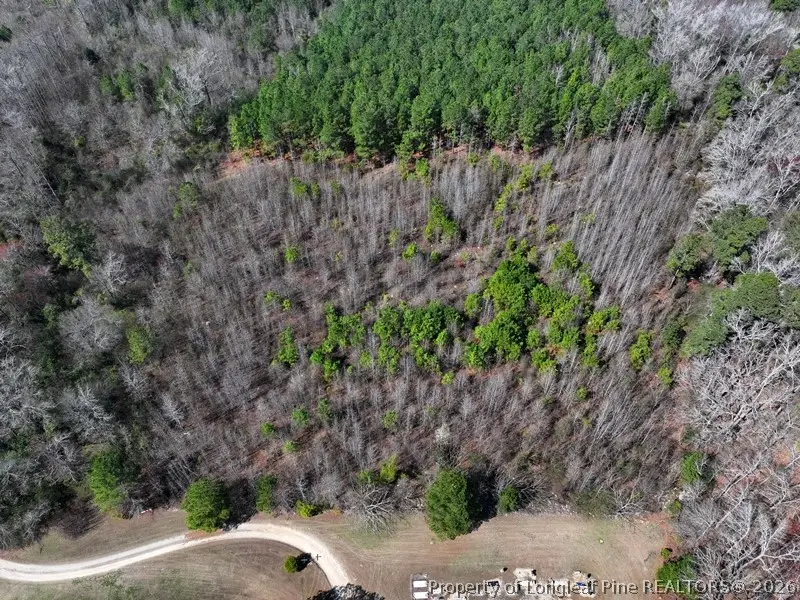 Glory Light Road, Fairmont, NC 28340 - #2