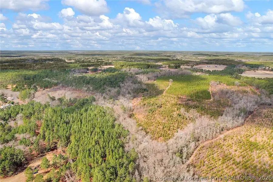 TBD Montrose (lot 4) Road, Raeford, NC 28376 - #2