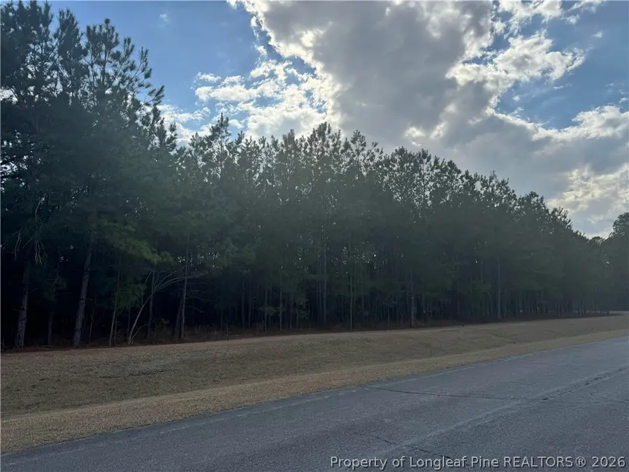 Saddlebred Lane, Raeford, NC 28376 - #2