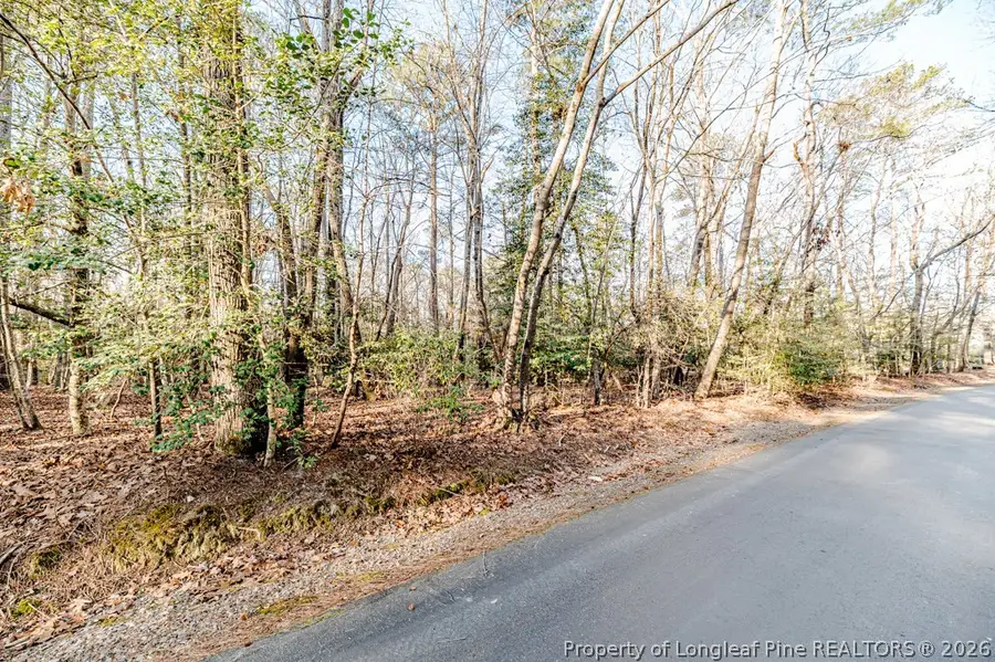 2028 Long Point Trail, Sanford, NC 27332 - #3