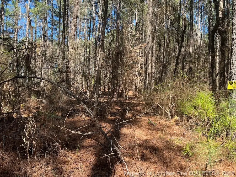 0 Tempting Church Road, Sanford, NC 27330 - #3