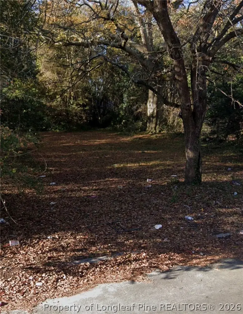20222 Center Street, Fayetteville, NC 28306 - #1