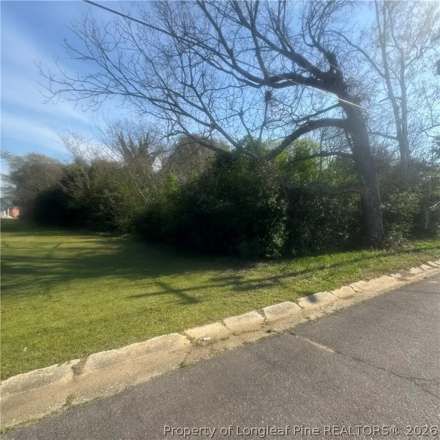 228 Gulf Street, Laurinburg, NC 28352 - #3