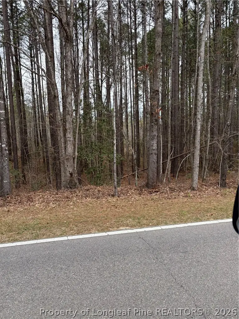 Mcpherson Road, Sanford, NC 27330 - #1