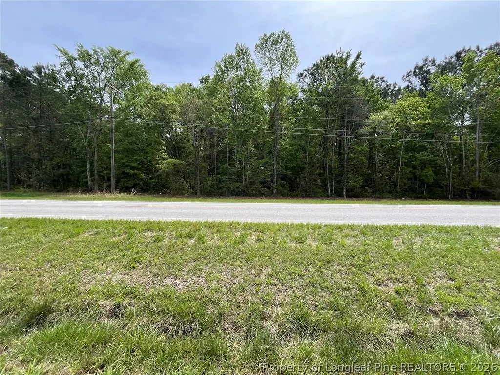 Dunn Road, Wade, NC 28395 - #1
