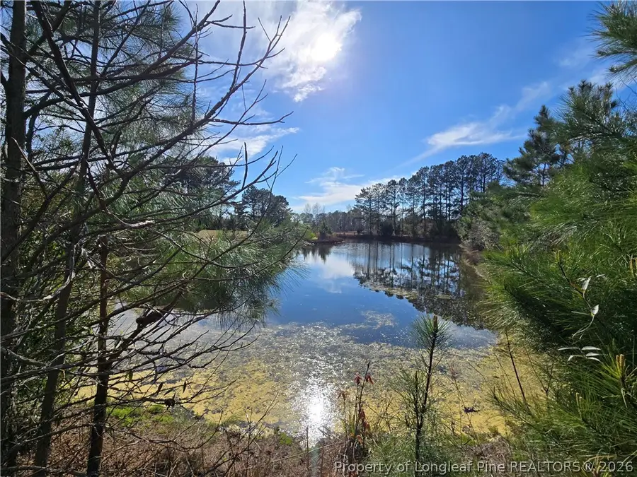 5076 Sanderosa Rd Road, Fayetteville, NC 28312 - #2