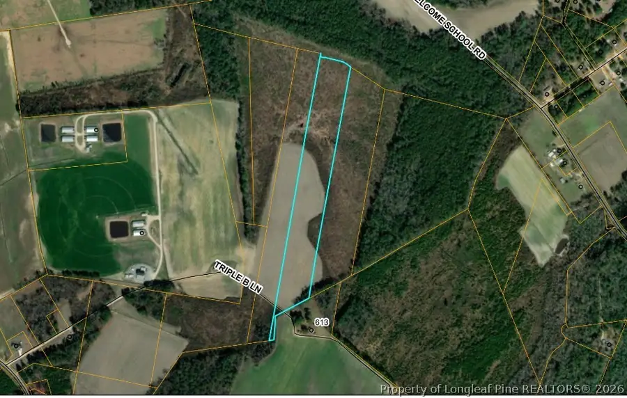 0 Triple B Lane, Autryville, NC 28318 - #2