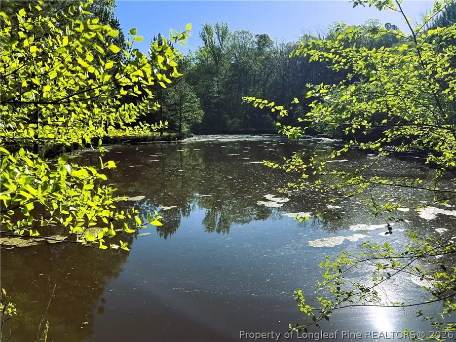 Lot 5 Reynwood Court, Sanford, NC 27330 - #2