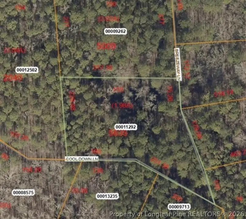 Lot 155 Breezeway Lane, Carthage, NC 28327 - #1