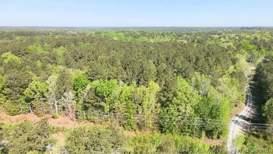 15688 Nc 27 Highway W, Sanford, NC 27332 - #3